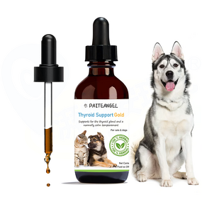 Pet Liver Supplement - Manufacturer - Oem&Odm Cat Vitamin Thyroid Heart Calm Liver Support