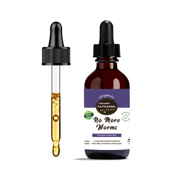 Dog Gut Health Supplement - Manufacturer - Private Custom Herbal Reduce Discomfort Soothe Irritation