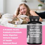 Cat Probiotic Capsules - Manufacturer - 6B CFU 8 Strains Prebiotic Postbiotic Digestion Immune