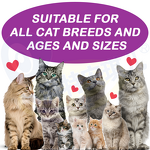 Cat Allergy Supplement - Manufacturer - OEM L-Lysine Immune Respiratory Support Chews