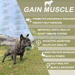 Dog Muscle Builder Supplement - Manufacturer - OEM&ODM High Protein Nutritional Immune Support