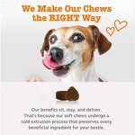 Dog Bladder Bites Chew - Manufacturer - OEM/ODM Private Label Cranberry D-Mannose Urinary Tract