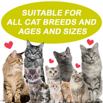 Cat Dental Chews - Manufacturer - Pet Dental Care Teeth Gums Freshening Breath Soft Chews