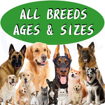 Dog Muscle Builder Chew - Manufacturer - OEM High Protein Weightgain High Calorie Bullymax