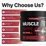 Dog Muscle Gain Supplement - Manufacturer - Soft Chews Powder Development Recovery Body Mass