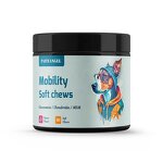 Dog Hip Joint Supplement - Manufacturer - Glucosamine Chondroitin MSM Hemp Seed Oil Pain Relief