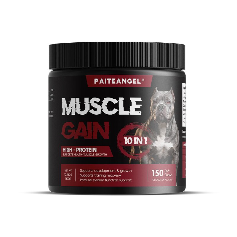 Bully Dog Max Tablet - Manufacturer - OEM ODM Muscle Gainer Protein Training Energy Recovery