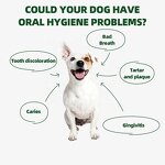 Dog Dental Chews - Manufacturer - Customized Natural Tartar Control Fresh Breath OEM