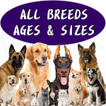 Probiotic Soft Chews - Manufacturer - Wholesale Private Label Grass Green for Dogs Cats