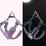 Pet Grooming Glove - Manufacturer - Private Labelling Hair Remover Comb Gloves Cat Dog