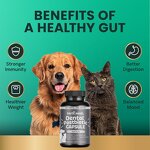 Dental Supplement Capsules - Manufacturer - Premium Postbiotic Prebiotic Oral Immunity Dogs