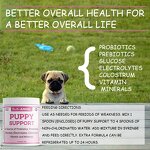 Cat Calm Paste - Manufacturer - Relaxed Stress Thunderstorms Travel Calming Supplement