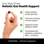 Dog Probiotic Chew - Manufacturer - Wholesale Private Custom Bowel Digestive Immune Health