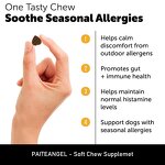 Pet Nutrition Soft Chews