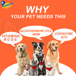 Dog Vitamin Supplement - Manufacturer - OEM&ODM N in 1 Glucosamine HCL Minerals Private Label