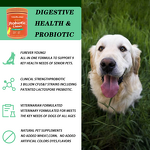 Pet Probiotic Supplement - Manufacturer - Private Label Chews Prebiotics Probiotics for Dogs