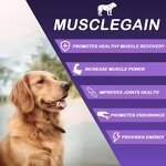 Dog Muscle Gain Supplement - Manufacturer - Custom All in One Bully High Whey Protein Energy