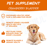 Dog Bladder Bites Chew - Manufacturer - OEM/ODM Private Label Cranberry D-Mannose Urinary Tract