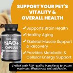 Senior Dog Brain Supplement - Manufacturer - Cognitive NAD+ Cellular Energy Cardiovascular
