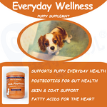 Dog Puppy Probiotic Powder - Manufacturer - Wholesale Omega 3 6 Fatty Acid High Protein