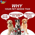 Organic Dog Joint Supplement - Manufacturer - Glucosamine Reduce Discomfort Improve Mobility