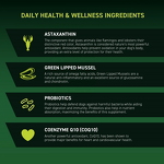 Dog Total Supplement - Manufacturer - Daily Health Wellness Probiotics Omega 3 Nutrition