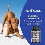 Senior Dog Brain Supplement - Manufacturer - Cognitive NAD+ Cellular Energy Cardiovascular