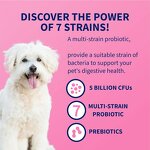 Dog Digestive Tablet - Manufacturer - 60 Chewable Multiple Strains Prebiotics Probiotics Powder