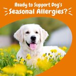 Dog Itch Support Treats - Manufacturer - 120 Natural Soothe Scratching Licking Chewing