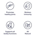 Dog Multivitamin Treats - Manufacturer - Naturals 15 in 1 Immune Skin Coat Joint Gut Support