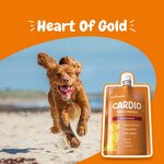 Dog Heart Supplement - Manufacturer - AlaskOmega Omega 3 CoQ10 Taurine L Carnitine Cardio