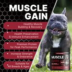 Bully Dog Max Tablet - Manufacturer - OEM ODM Muscle Gainer Protein Training Energy Recovery