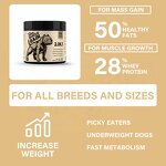 Dog Muscle Gain Chews - Manufacturer - High Protein Bites Weight Gain Muscles Builder