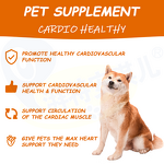 Dog Heart Support Chew - Manufacturer - L Carnitine Fish Oil Taurine Hawthorn CoQ10 Cardio