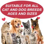 Dog Vitamin Tablets - Manufacturer - High Quality Custom Vitamin A & E Pet Health Care