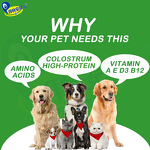 Dog Muscle Gain Supplement - Manufacturer - Custom Flavor Turkey Tuna Chicken Adult Pet