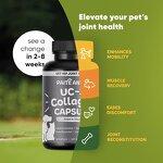 UC-II Collagen Capsules - Manufacturer - Hyaluronic Acid Pain Relief Athletic Performance Pets