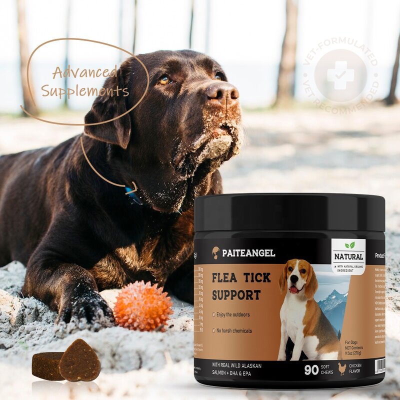 Flea Tick Control Chew - Manufacturer - Pest Defense All Breeds Sizes Natural Prevention