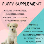Puppy Support Supplement - Manufacturer - Probiotics Prebiotics Enzymes Glucose Electrolytes