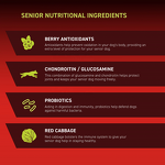 Senior Dog Multivitamin - Manufacturer - Healthy Aging Brain Heart Vision Joint Mobility