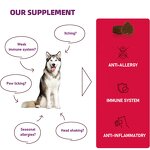 Anti Allergy Itch Supplement - Manufacturer - Private Label Strengthens Immune System Pet