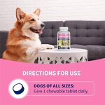 Dog Digestive Tablet - Manufacturer - 60 Chewable Multiple Strains Prebiotics Probiotics Powder