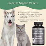 Pet Immune Capsule - Manufacturer - Organic Mushroom Anti Inflammatory Liver Detox Allergy