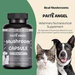 Pet Immune Capsule - Manufacturer - Organic Mushroom Anti Inflammatory Liver Detox Allergy