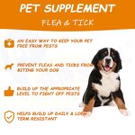 Flea Tick Defense Chew - Manufacturer - Wholesale Garlic Powder Prevention Dogs Cats
