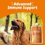 Dog Omega 3 Probiotic - Manufacturer - Salmon Oil Digestive Skin Allergy Anti Itch Relief
