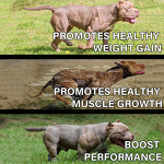 Bully Boost Supplement - Manufacturer - Enhanced Nutrition Muscle Gain Energy for Dogs