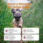Dog Heart Support Chew - Manufacturer - L Carnitine Fish Oil Taurine Hawthorn CoQ10 Cardio