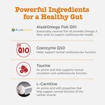 Dog Heart Support Chew - Manufacturer - L Carnitine Fish Oil Taurine Hawthorn CoQ10 Cardio