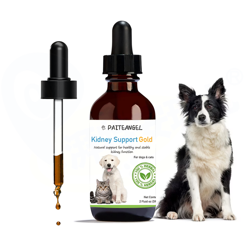 Dog Urinary Tract Support - Manufacturer - Professional Custom Brand Immune Kidney Function